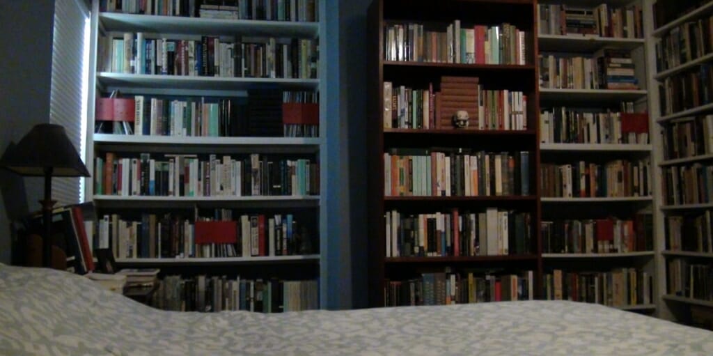 The edge of a bedspread can be seen in the bottom of the image. there is a window to the left and the walls of the room are backed with bookshelves full of books.