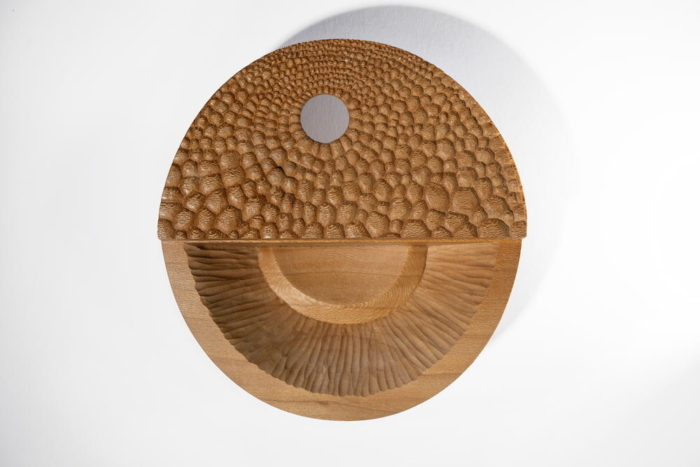 Talia Drury - Sycamore I: Achenes - Image 2