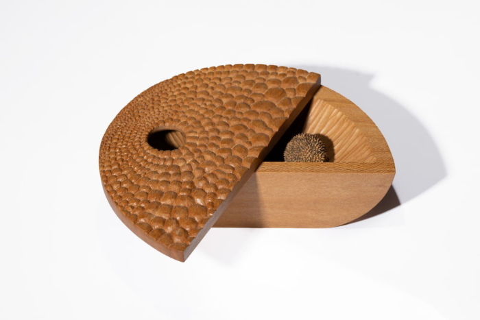 Talia Drury - Sycamore I: Achenes